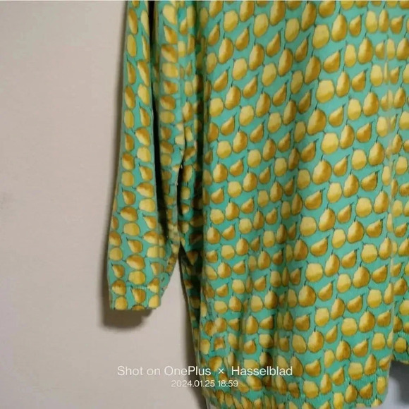 Talbots Size XLp Green Knit Pear Details Button Up back - Picture 3 of 8